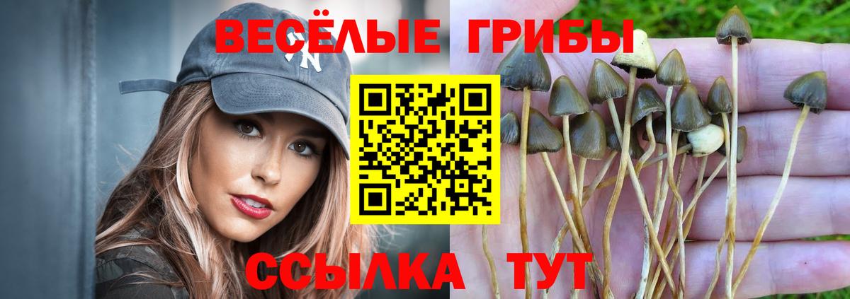 Псилоцибиновые грибы MAGIC MUSHROOMS  Вход с VPN  Лесной 